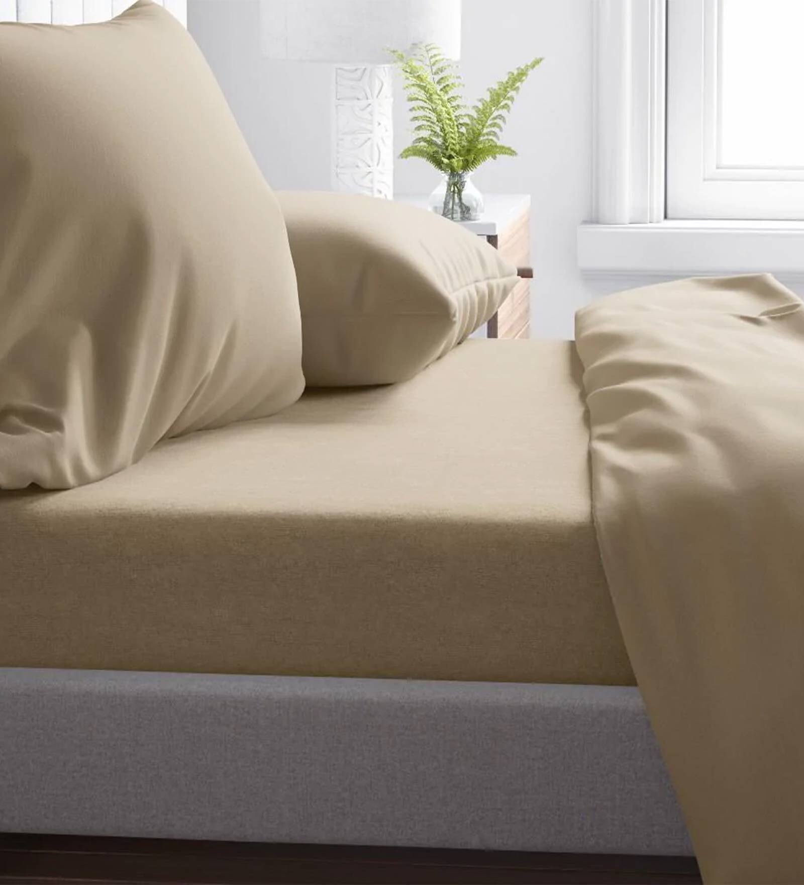 Buy Beige Solid 300 TC 100 Cotton King Sized Fitted Bed Sheets with 2