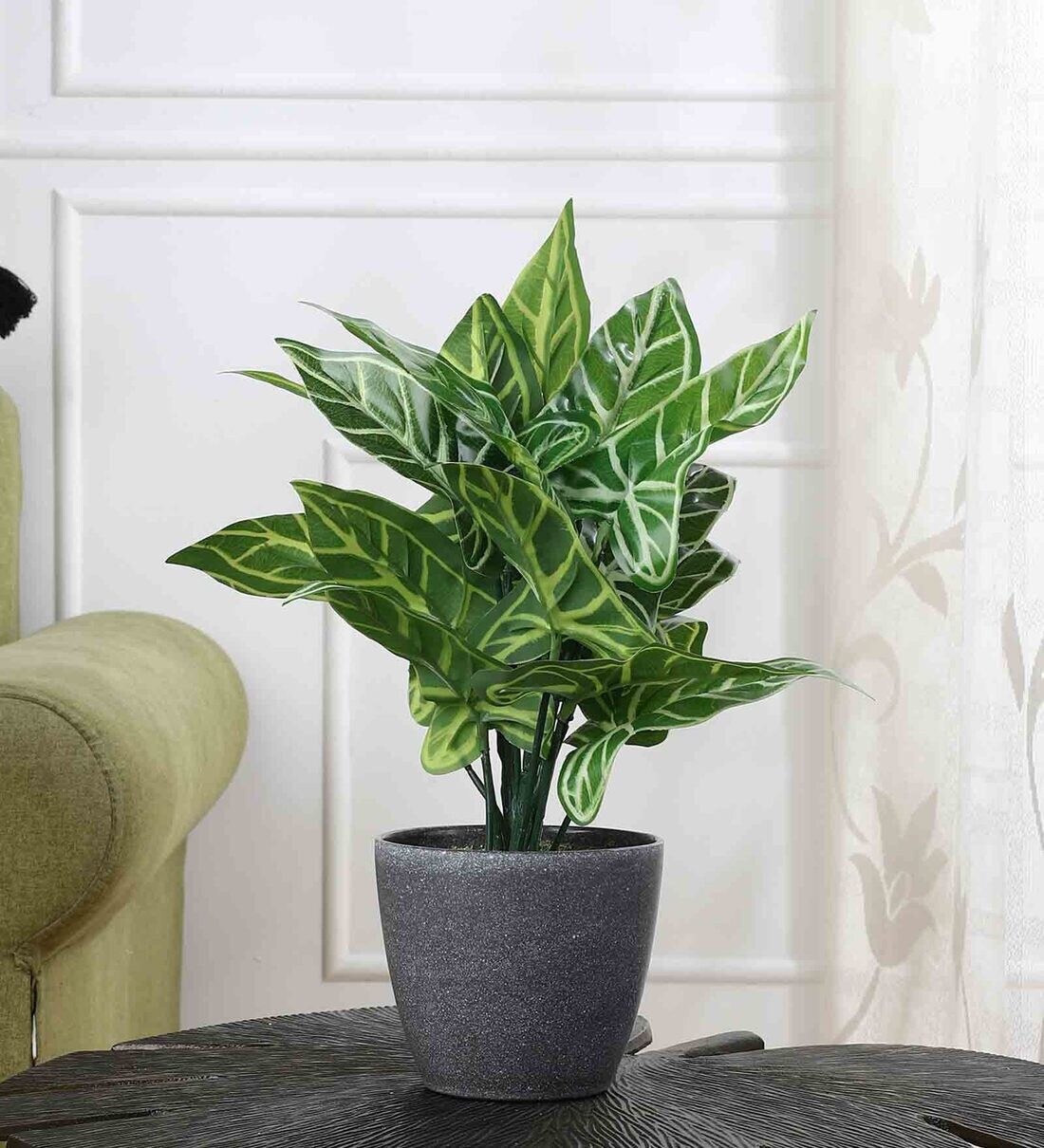 Buy Artificial Zebra Plant with Pot by Foliyaj at 45% OFF by Foliyaj ...