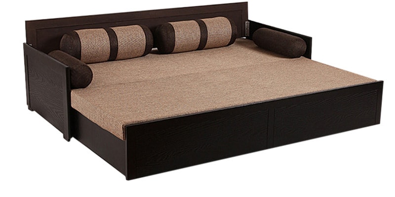 Buy Aster Exemplary Sofa Cum Bed by ARRA Online 