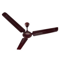 Ceiling Fans 