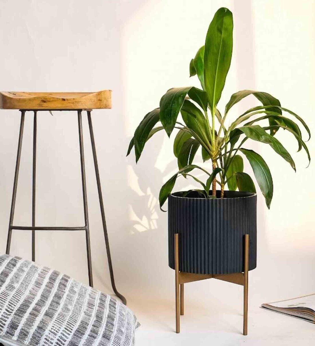 Buy Black Medium Midori Planter With Stand Online Big Planters Pots