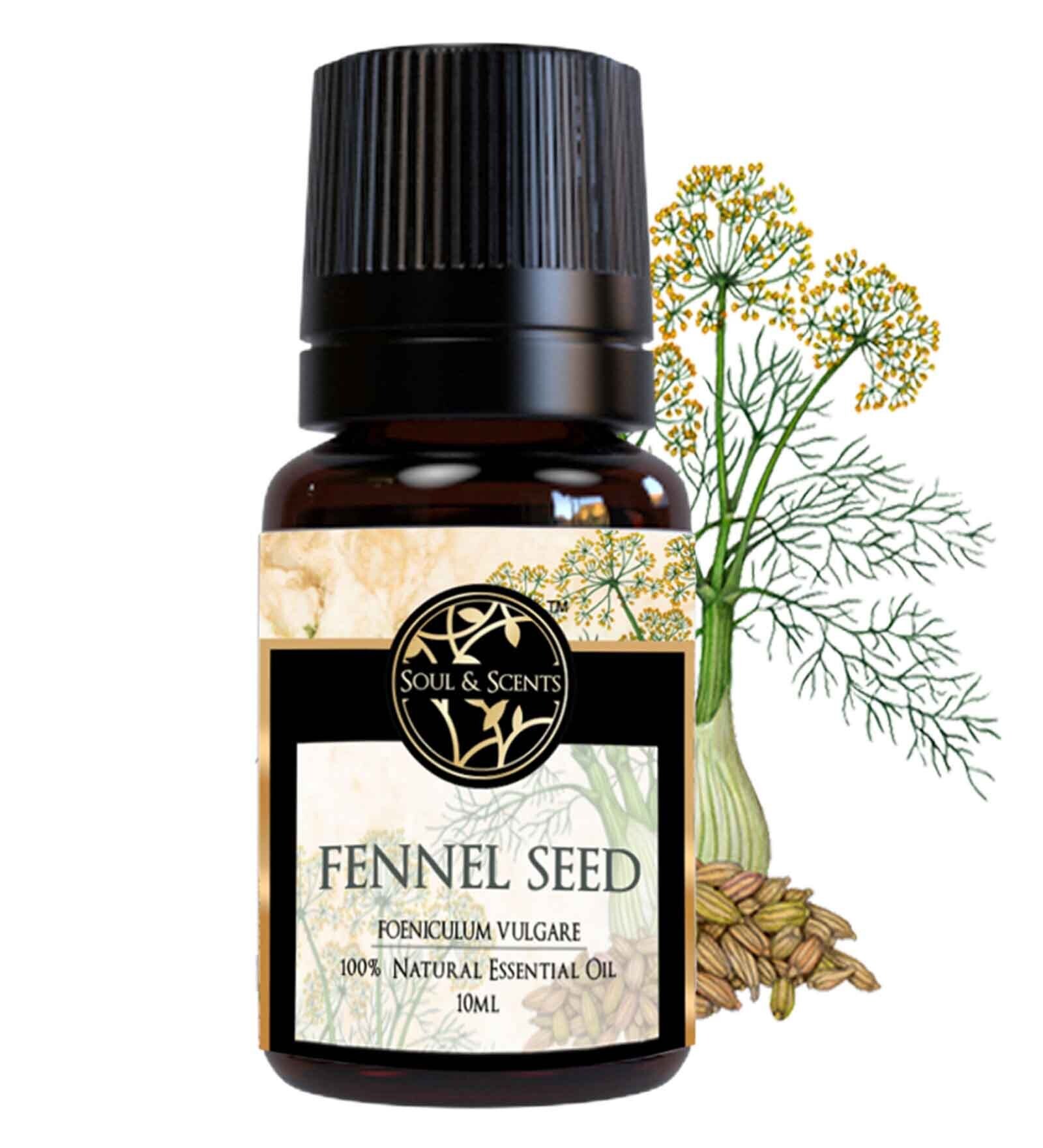 Buy Fennel Seed Essential Oil Online Aroma Oils Home Fragrances