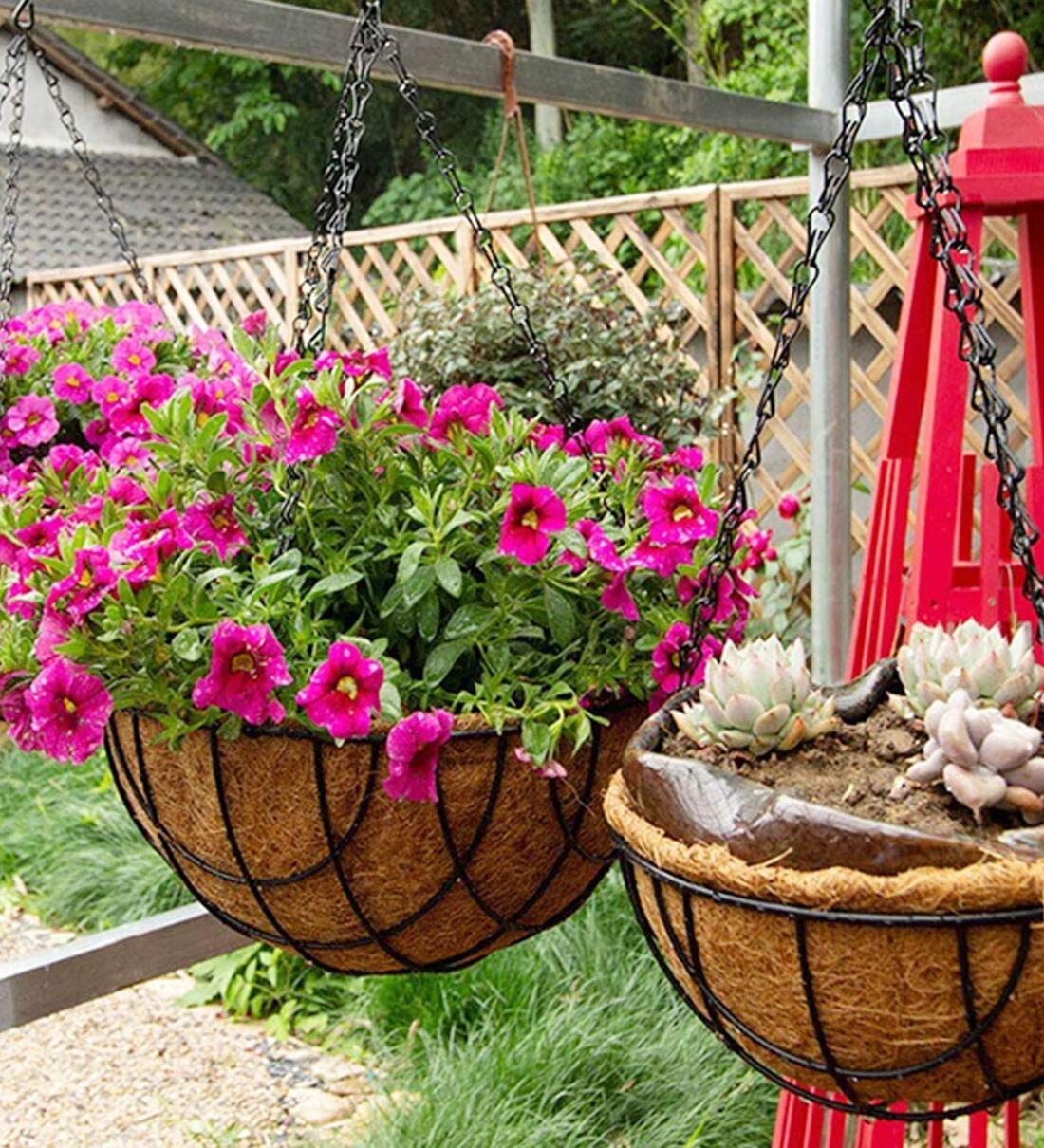 Buy Brown Coir (Pack of 2) Hanging Basket Planter By coirgarden Online