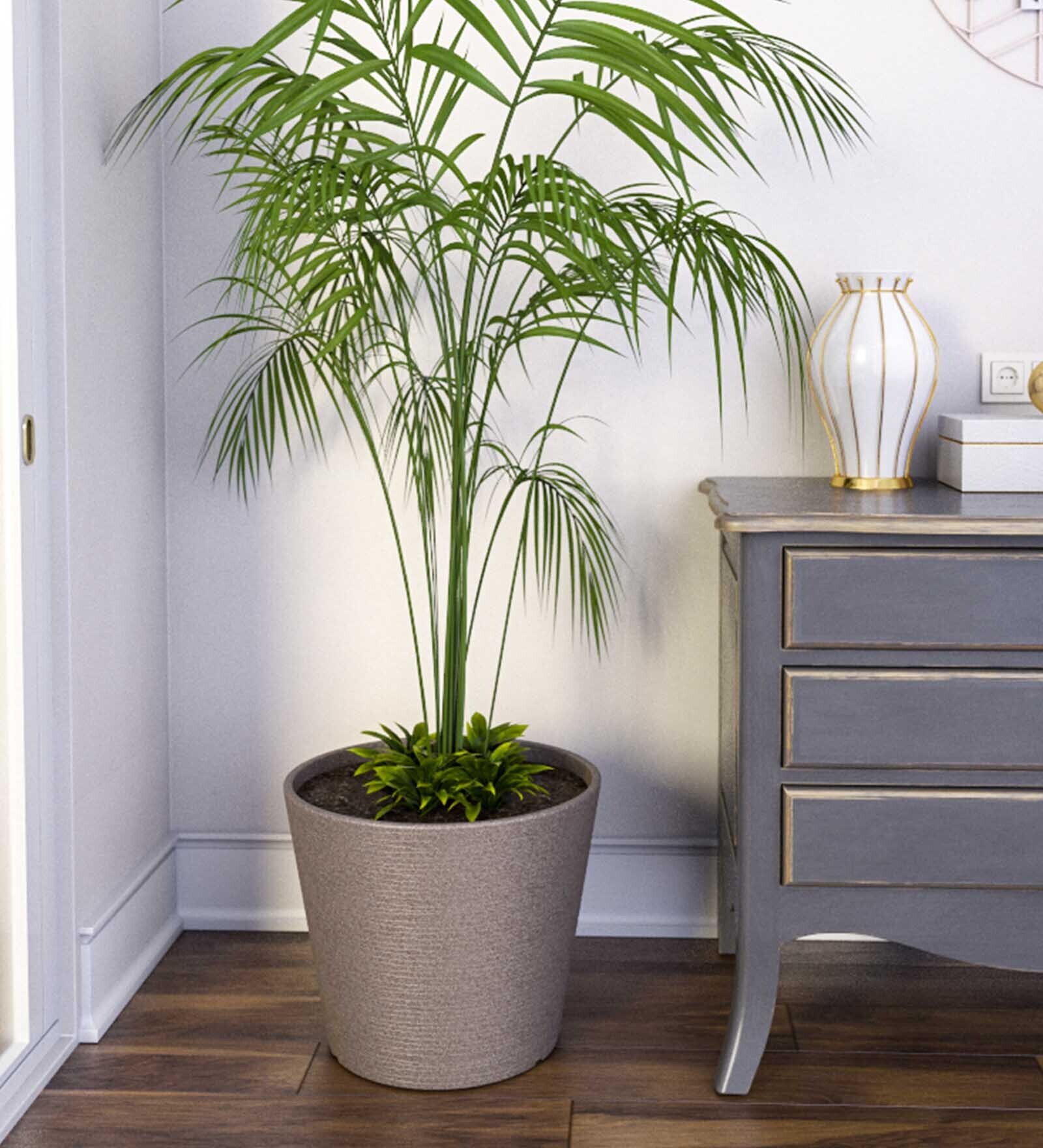 Buy Dholpur Beige Polymer Aloha Large Floor Planter at 31% OFF by ...