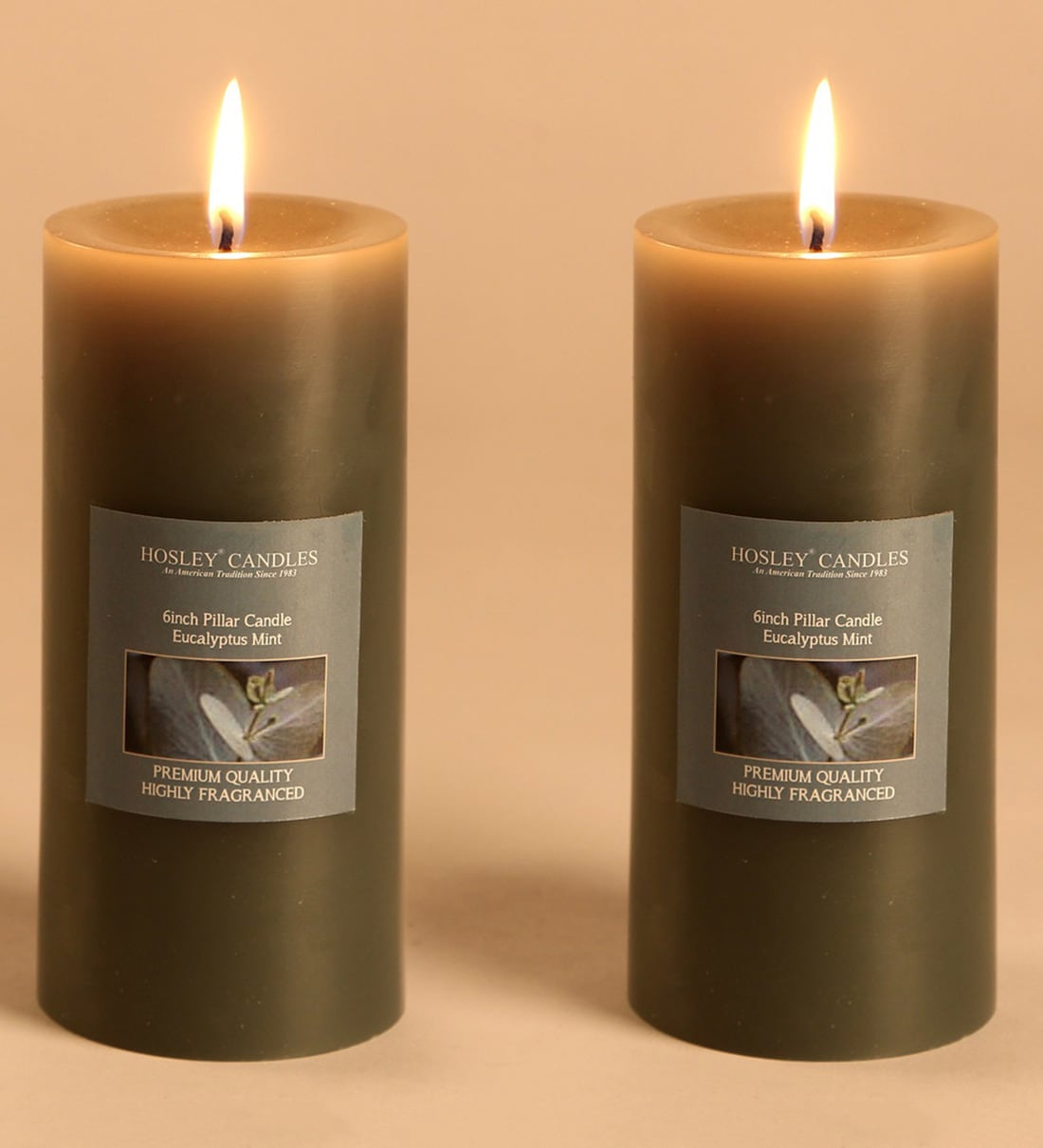 Buy Eucalyptus Mint 6 Inches Pillar Candles Online Scented Candles