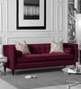 Adorn Homez Filton Fabric 3 Seater Sofa in Purple Colour