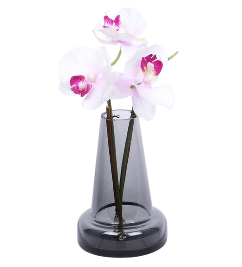 Buy Grey Flat Base Fine Glass Vase By Aapno Rajasthan Online