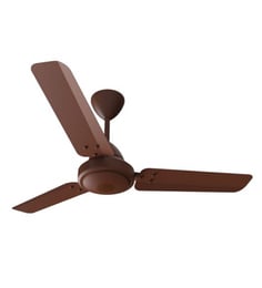 Ceiling Fans