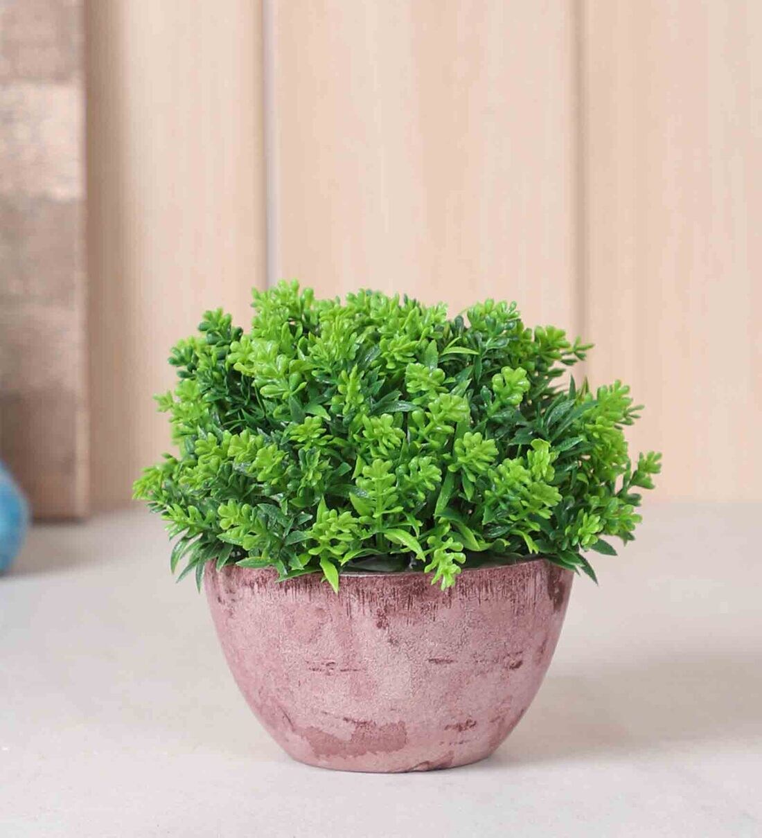 Buy Green Plastic Natural Touch Artificial Plant With Plastic Pot By Tayhaa Online Artificial