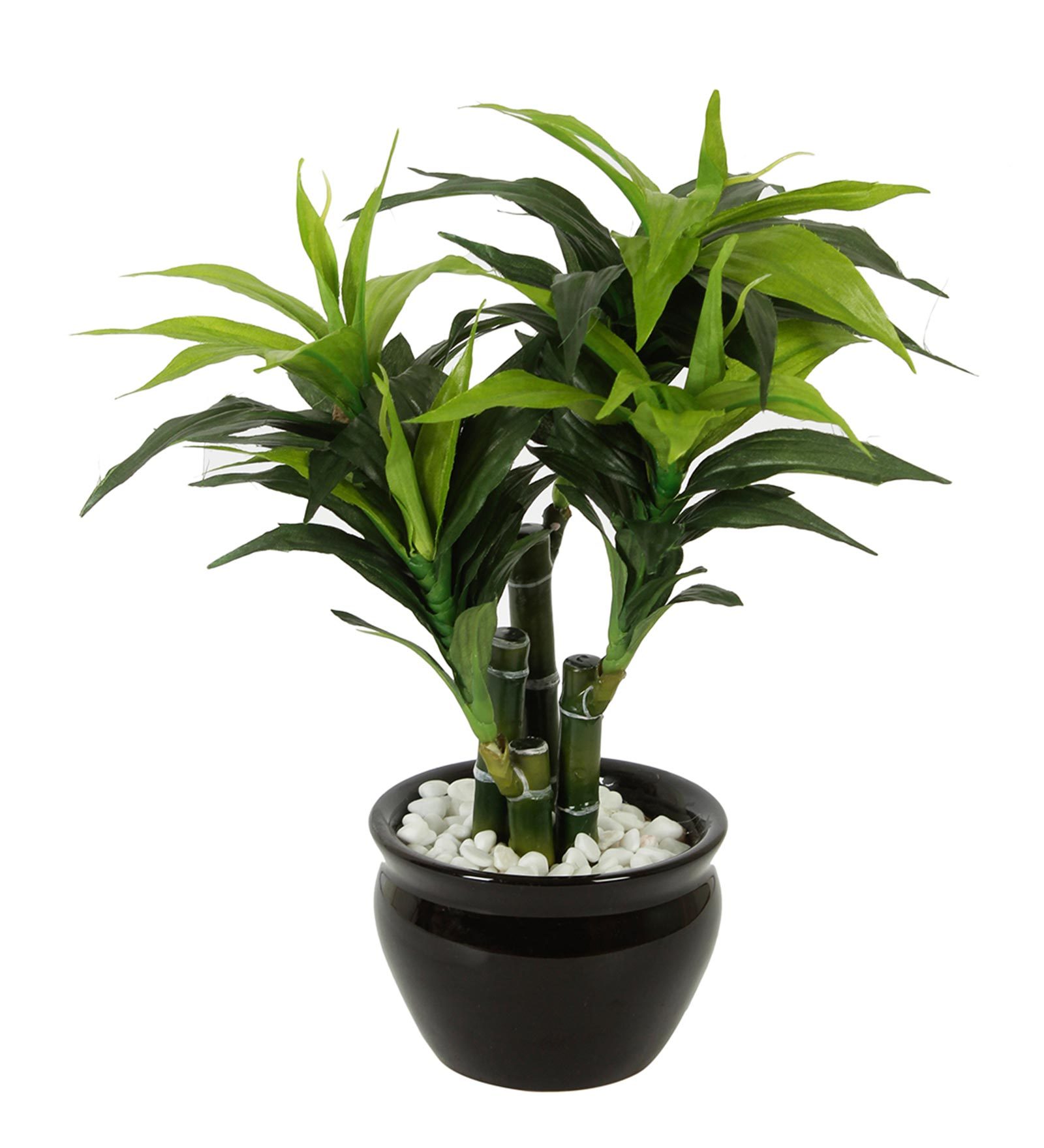 plastic bamboo plant