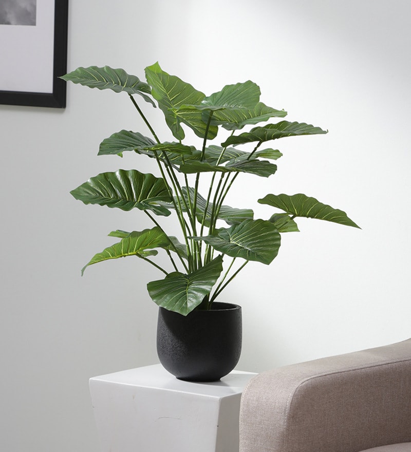 Buy Plastic Tracey Green Miniature Silk Floor Artifical Without Pot Artificial Plant Online