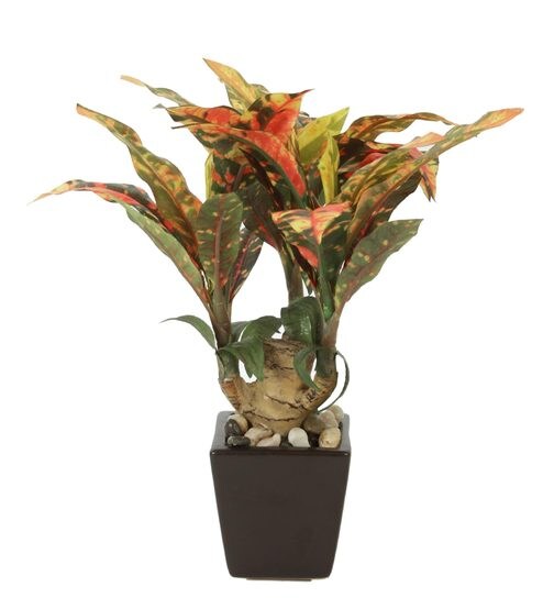 Buy Multicolour Plastic Artificial Decorative Dracenea House Plant