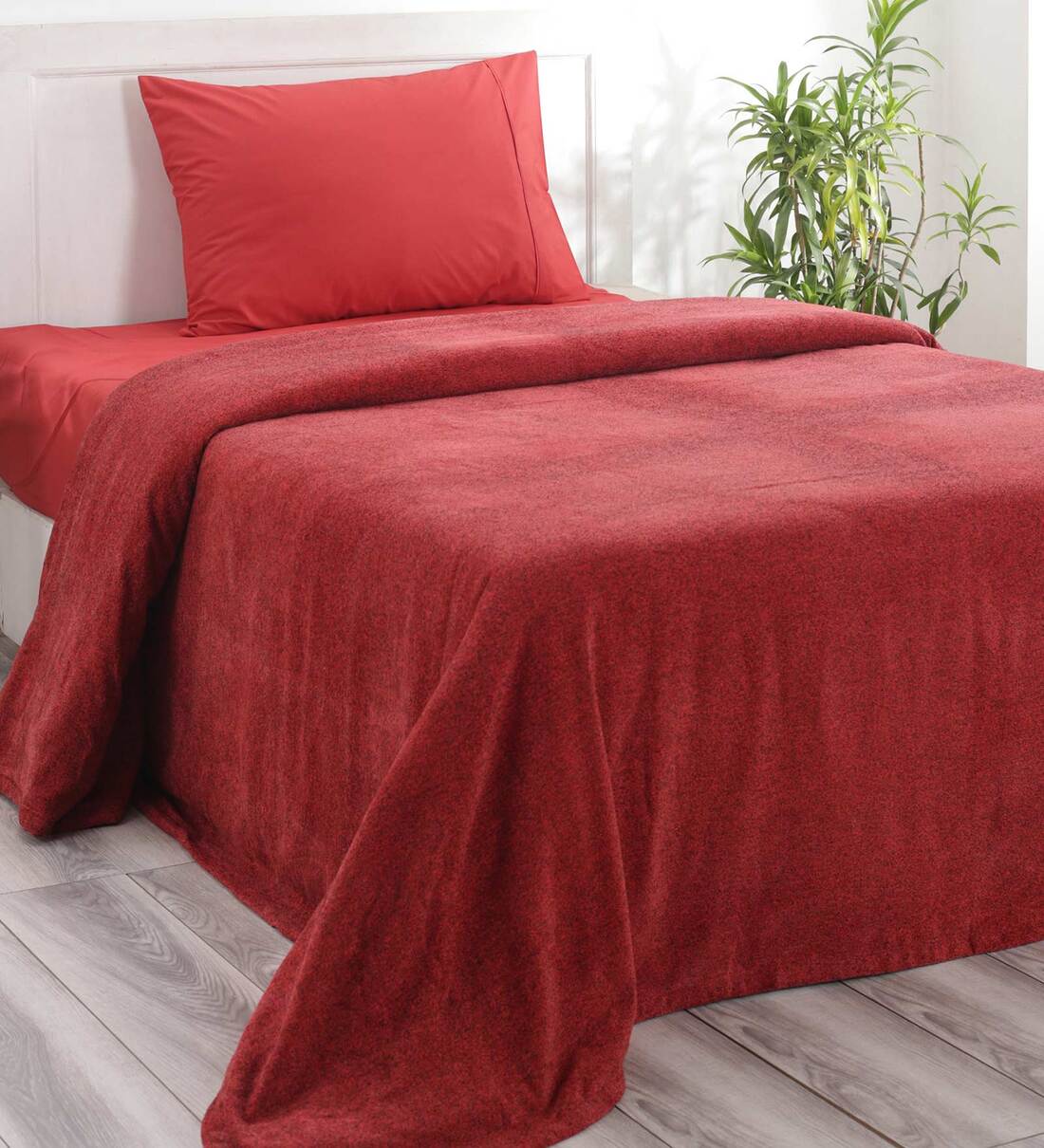 Buy Red Solid 110 TC Cotton Single Bed Cover by Maspar at 100 OFF by
