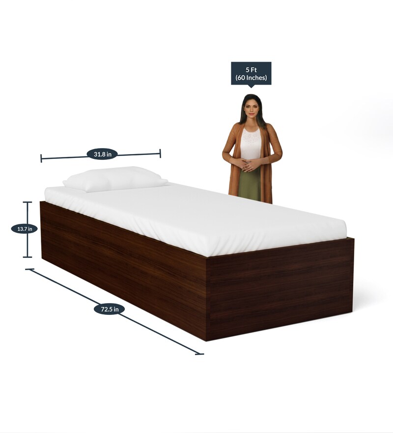 Buy Ria Single Bed with Box Storage in Wenge Finish by Hometown Online