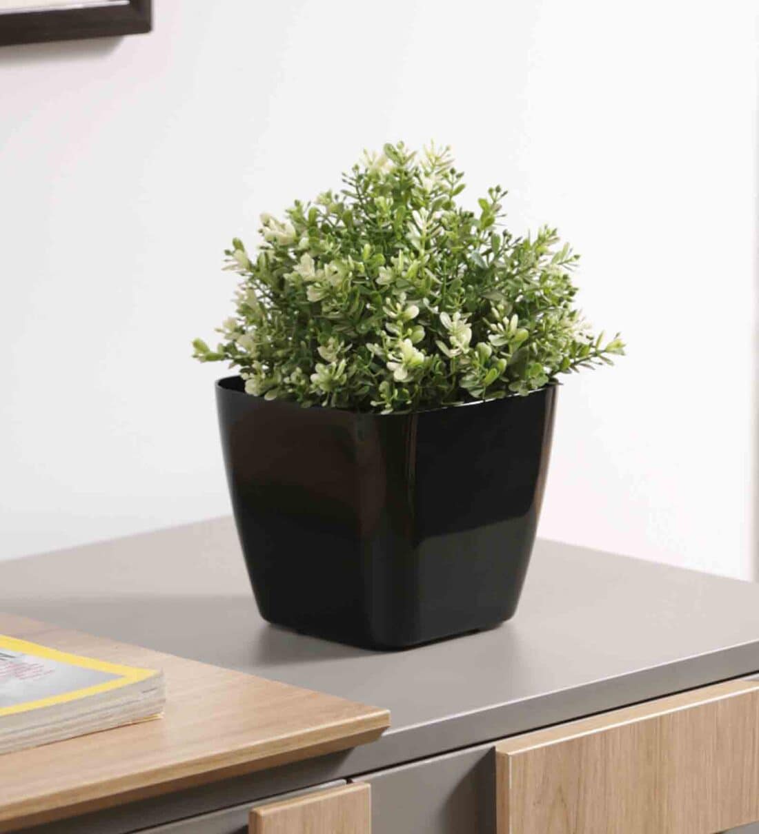 Buy Plastic Black Flower Pot By Planters Online Floor Planters Pots