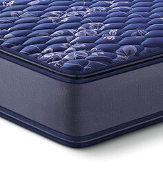 Peps India Mattresses Buy Peps India Mattresses Online In India Best Prices Pepperfry