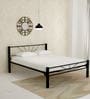 Delite kom Sunshine Metallic Queen Size Bed in Black Colour