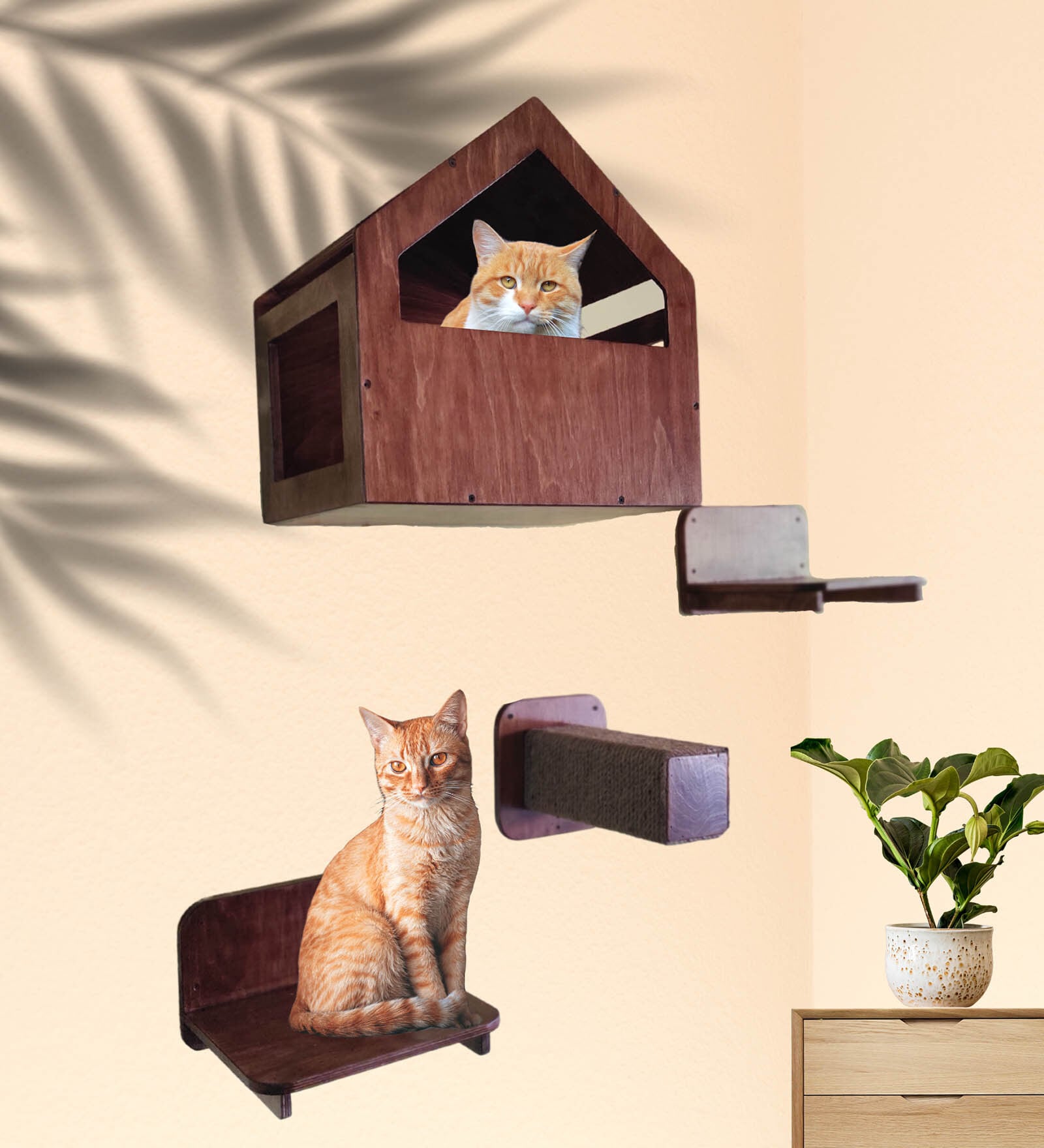 Buy Wall Mounted Dark Brown MDF Cat Scratcher Online Cat Trees and
