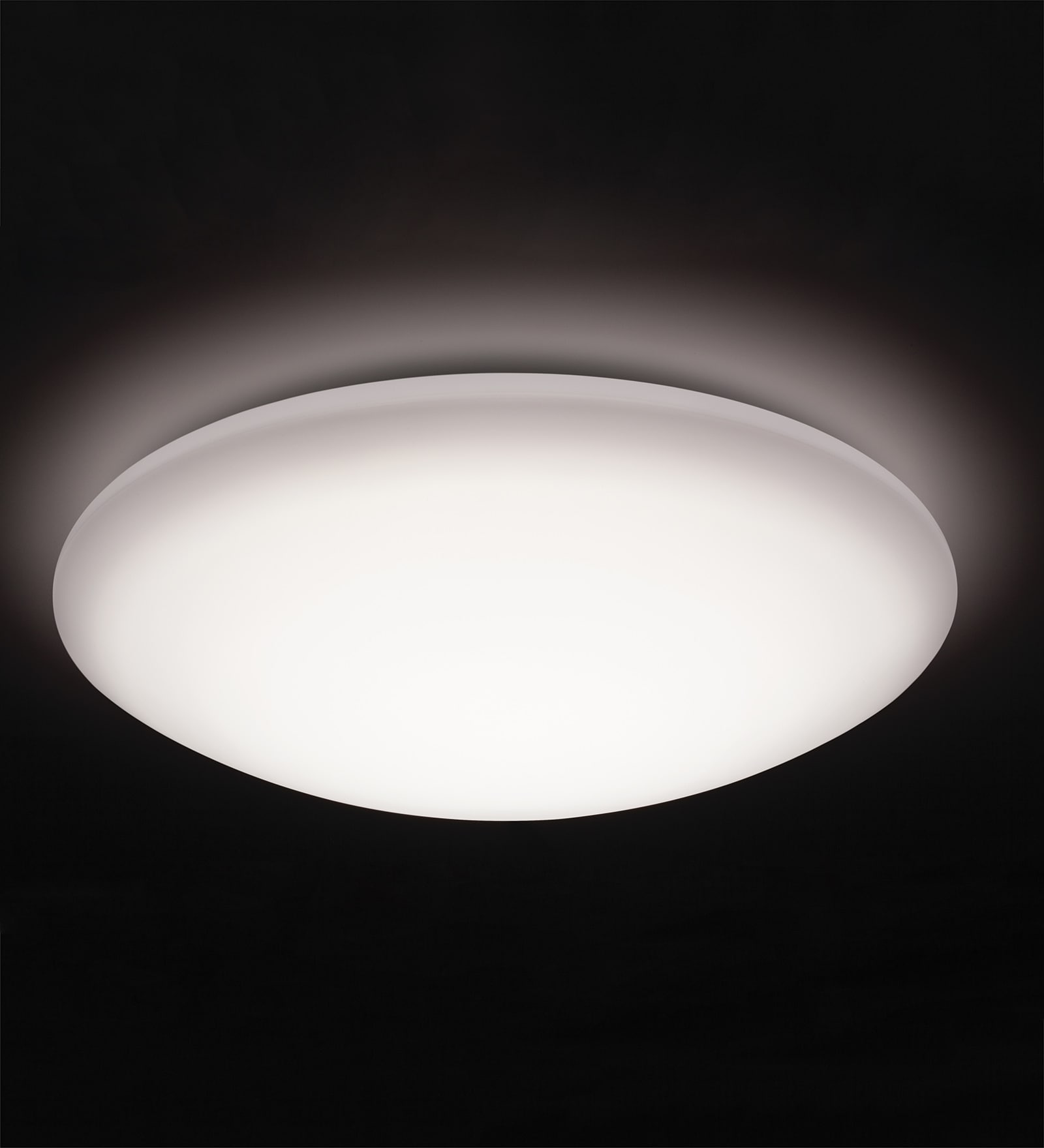 Buy Tisva White Steel Elysian Ceiling Light Online Flush Mounts