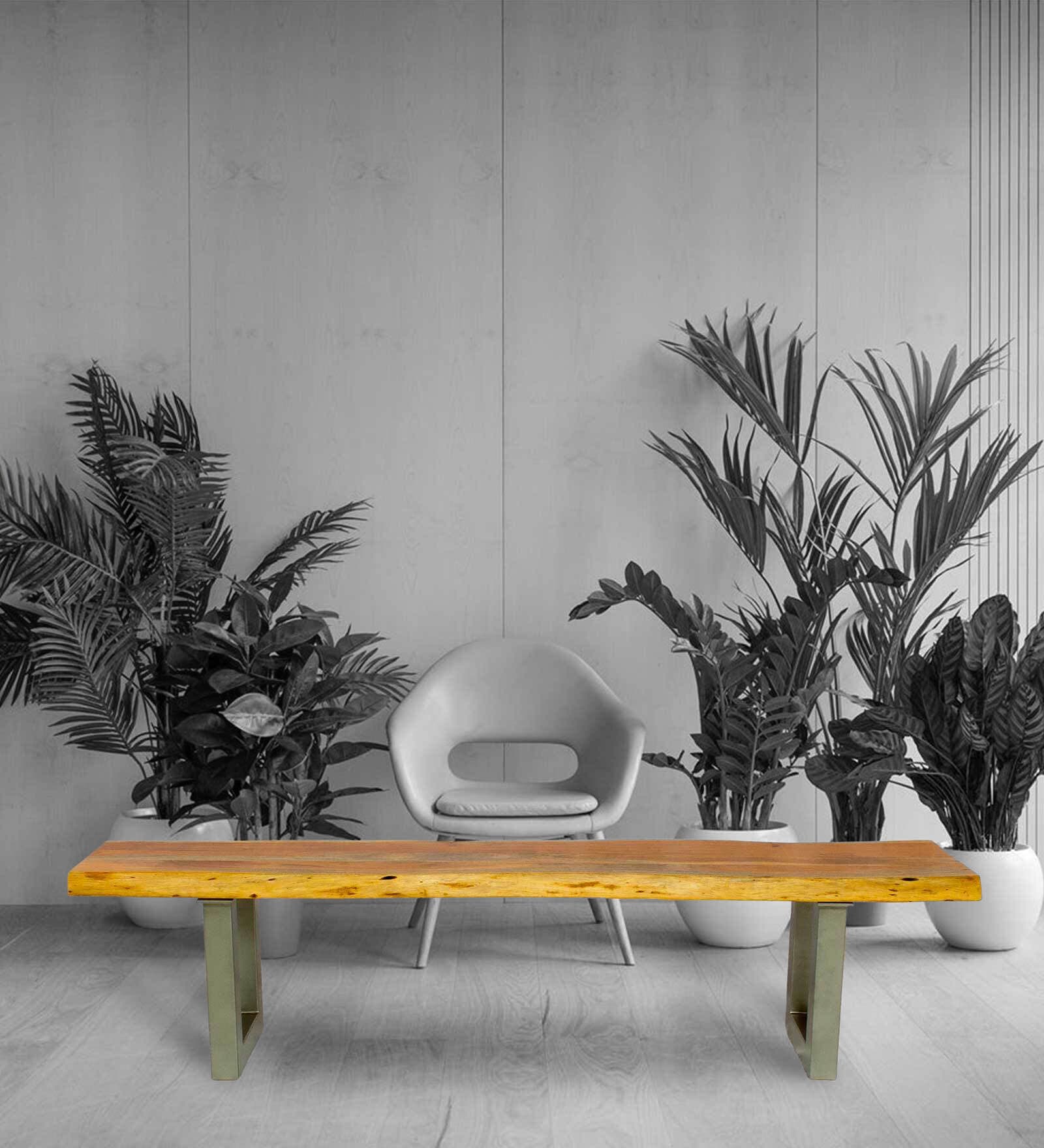 Buy Tuff Solid Wood Bench in Natual Finish at 20 OFF by Care Furniture