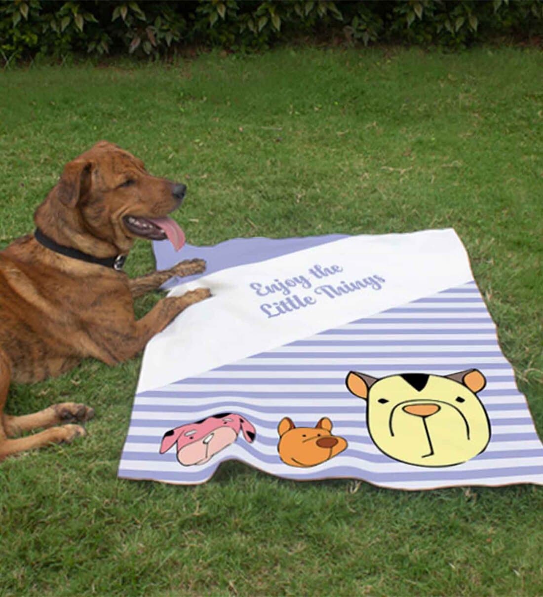 COTTON KNIT BLUE DOG BLANKET main image 1