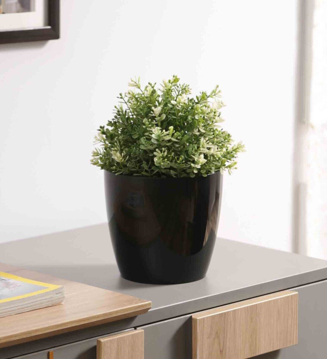 Buy Plastic Black Flower Pot By Planters at 35 OFF by Planters Pepperfry