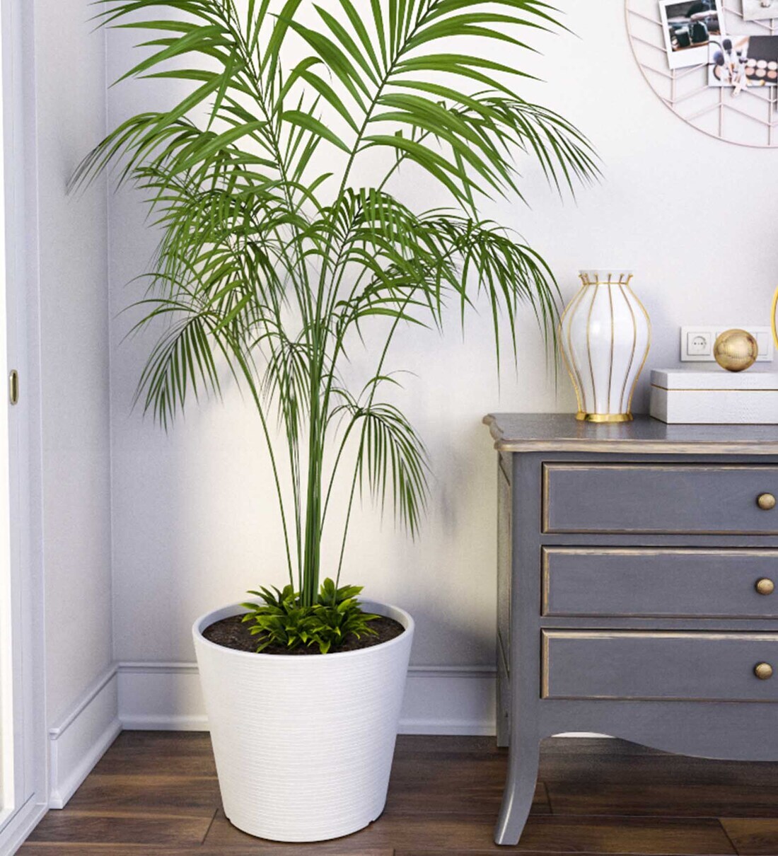 Buy White Polymer Aloha Large Floor Planter at 31% OFF by Planters ...