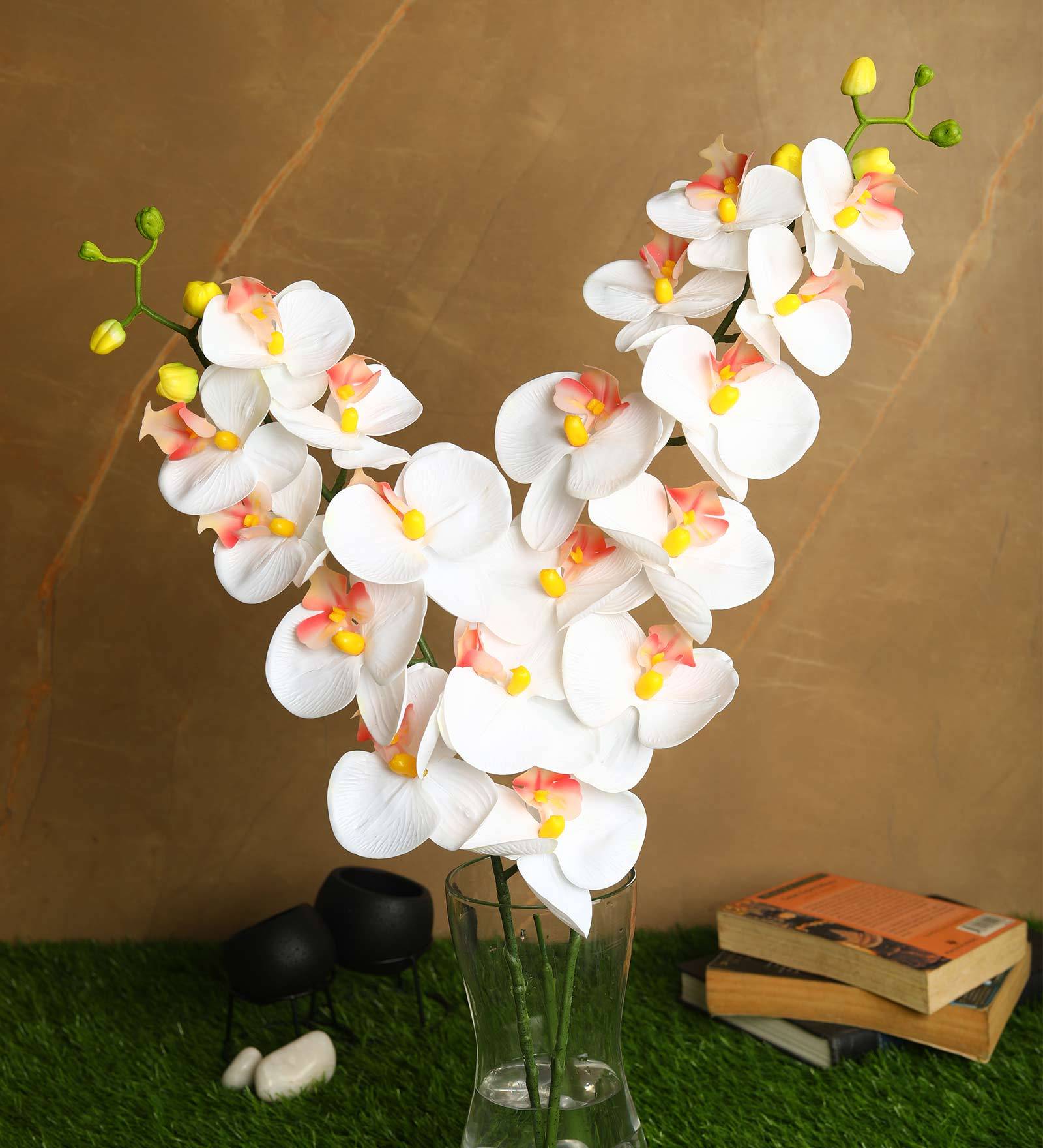 Buy White Polyurethane Stunning Artificial Phalaenopsis Orchid Flowers