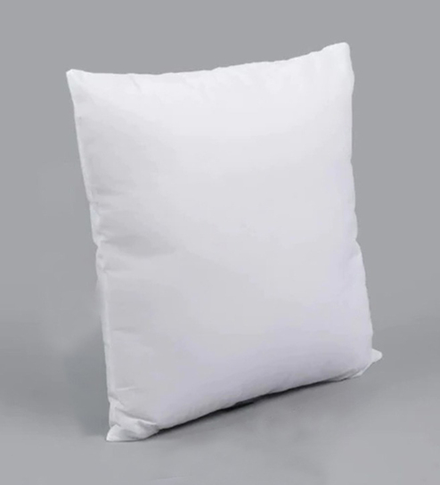 24x24 cushion insert