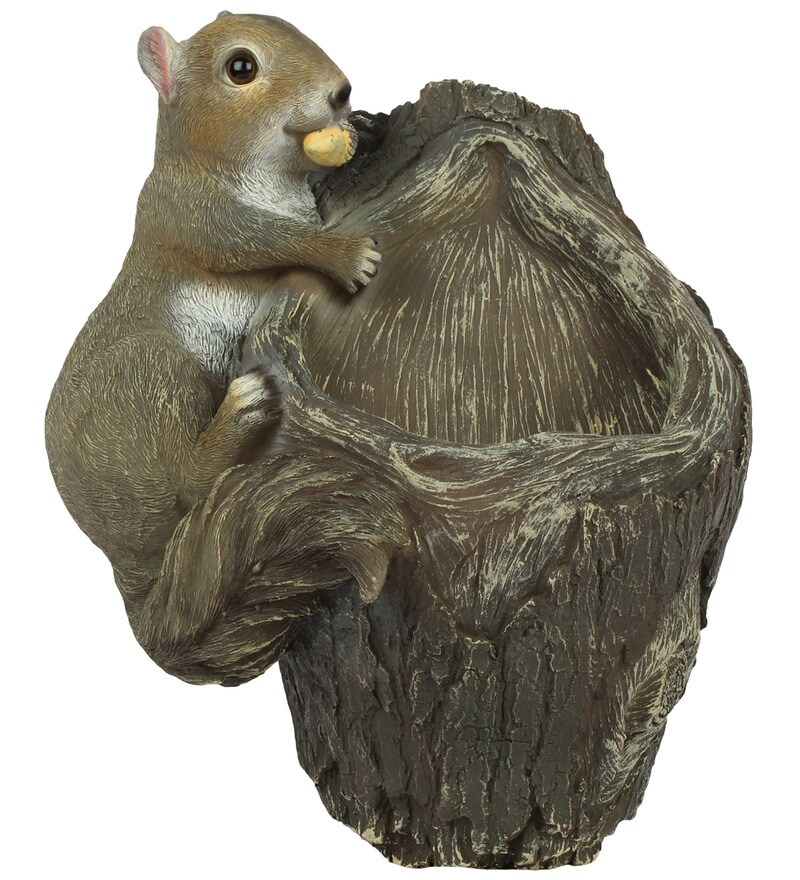 Buy Wonderland Squirrel Tree Wall Hanger With Bird Feeder Online